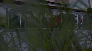 "Cumming On Top: Jennifer Love Hewitt and Maggie Gyllenhaal in Bed Together!"