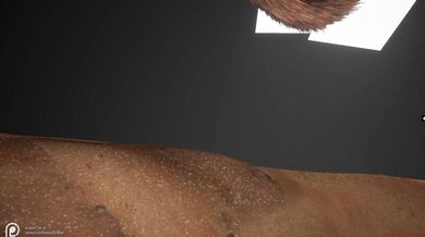 "The Hidden Wildlife of Alissa's Grok"