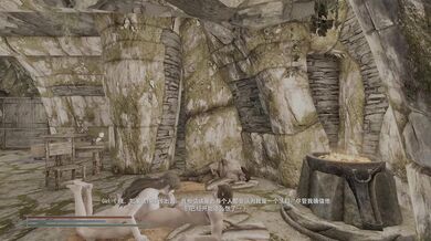 "One unforgettable night with the miner and his skyrim dogma."