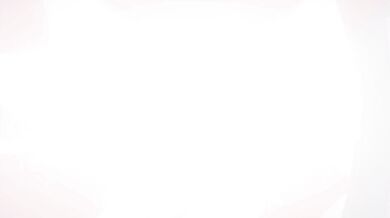 "Raiden, Shogun and Aether (With Sound) - Stella"