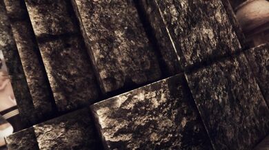 "Brynjolf and Orsol Hailfire - Tribal Lust in Falskaar's Forest"