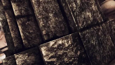 Brynjolf and Orsol Hailfire - Tribal Lust in Falskaar's Forest