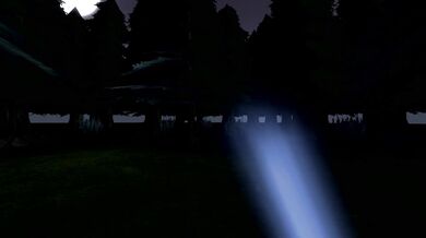 --------------------------