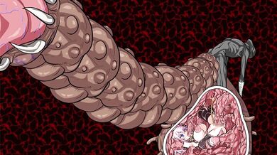 "Tempting Tail: An Animated Cock Vore Adventure"