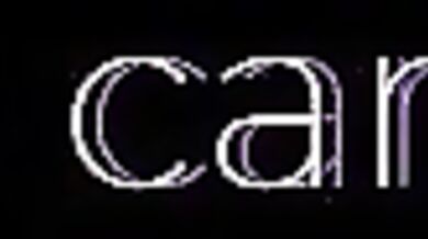 'Purrfect Panty Raid: When Furry Boys Meet Maniacs'