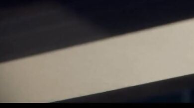 "A day in the life of a dog"