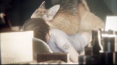 "A day in the life of a dog"