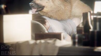 "A day in the life of a dog"