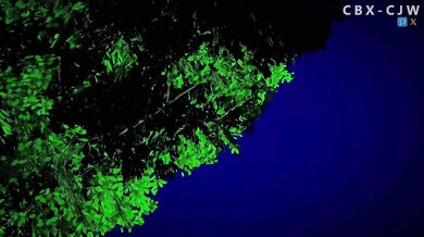 'Roxy: Have you been practicing magic in the bedroom well?'