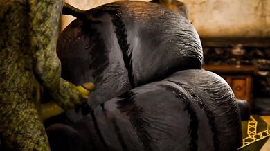 "The Lizard Queen and her Kitty Companion: A Tale of Reptilian Love"