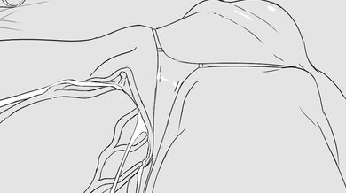 'The Unexpected Encounter of Sorceress and the Sudden Event!'"