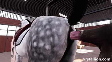 "Ponified Princesses in Virtual Reality"