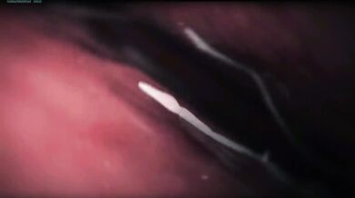 'The Sinister Seed | Chapter Four'