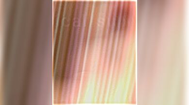 'Futa Sindel vs Ada Wong and WonderWomen vs Catwomen (WIS)'