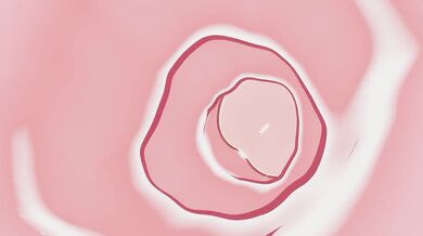 Rewritten as: 'Bareback in the Garden of Eden'.