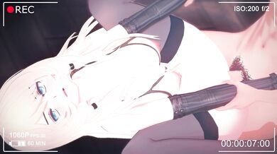'The S&M Experience - An Extra Hardcore Hentai Video'