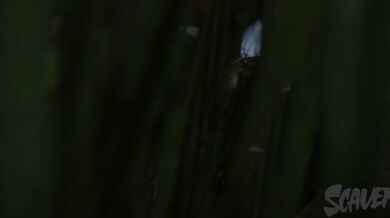 'Tiny Sexy Vampire Escort [ScavengerSFM]'