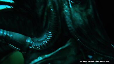 "Flying High, Landing Fast! Icarus Episode Two Tease!"