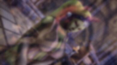 "Unleash the Beast Within - Video Preview"