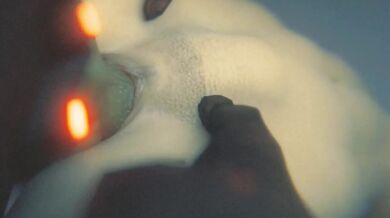 "One Night Stand with a Vampire"