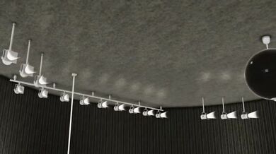 'Sexy Insekts in the City: Honey Bees, Ladybugs and More!'