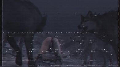 "Hardcore MILFs and their horny friends indulge in hot group sex in the living room! MUTT SLUTS PMV."