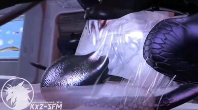 "The Wolf and Alilkira Part 2 - The Ultimate Hentai Porn Edit"