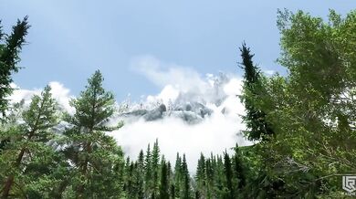 'The Royal Mating: The Princess and the Goblin'