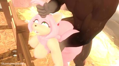 'My Cross-border Excursion with Amy'