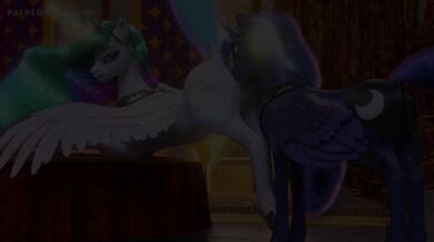 "Sexy Stallion Lady Riders"