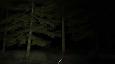 'Fucking A Slutty Smiling Bitch in the Ass!'