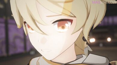 "[MagMallow]'s Aether x Raiden"