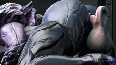 'Big-boobed Sara is attacked by flying dildos in a public place.'