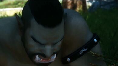 "Mother Nature's Hide and Seek with the Leaves"