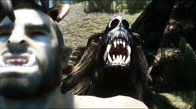 "Mother Nature's Hide and Seek with the Leaves"