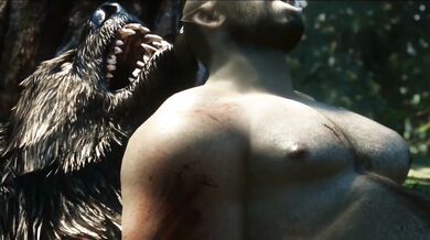 "Mother Nature's Hide and Seek with the Leaves"