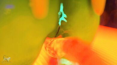 The slutty Star Wars fan lovingly embraces the tentacle monster that has been lusting after her for years.