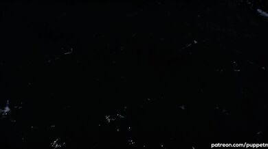 'Pleasure Island: A Vacation Love Affair'