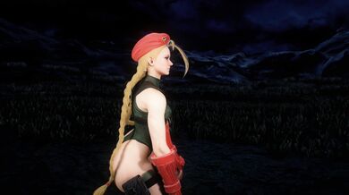 'Sexy Lingerie Model Cammy Bounces for You(VirtAmateur)'"