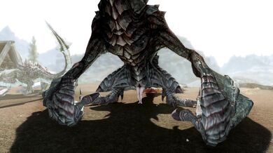 'Unleashing the Dragoness: an erotic fantasy of rebirth and release'