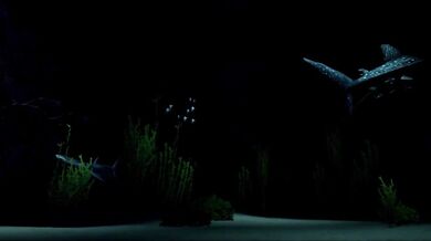 "The Pleasure Palace - A Night of Lustful Desires"