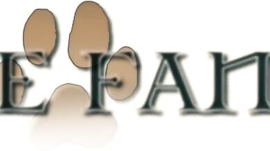 'Un Fantasía de Perro El Señor Aardvark en la Selva '