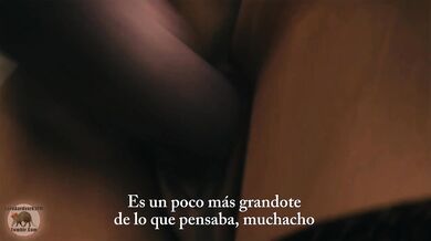 'Un Fantasía de Perro El Señor Aardvark en la Selva '