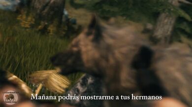 'Un Fantasía de Perro El Señor Aardvark en la Selva '