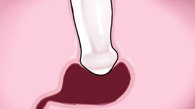 "Innocence Taken by a Mythical Seductress and a Beastly Minotaur in the Arms of a Chair San"