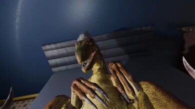 'Vula's ark survival evolved'