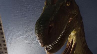 'Vula's ark survival evolved'