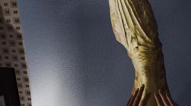 'Vula's ark survival evolved'