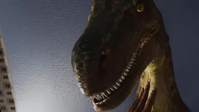 'Vula's ark survival evolved'