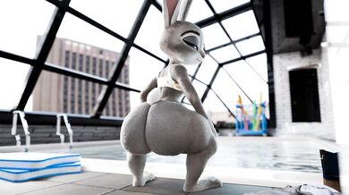 'Judy's Poolside Romp'